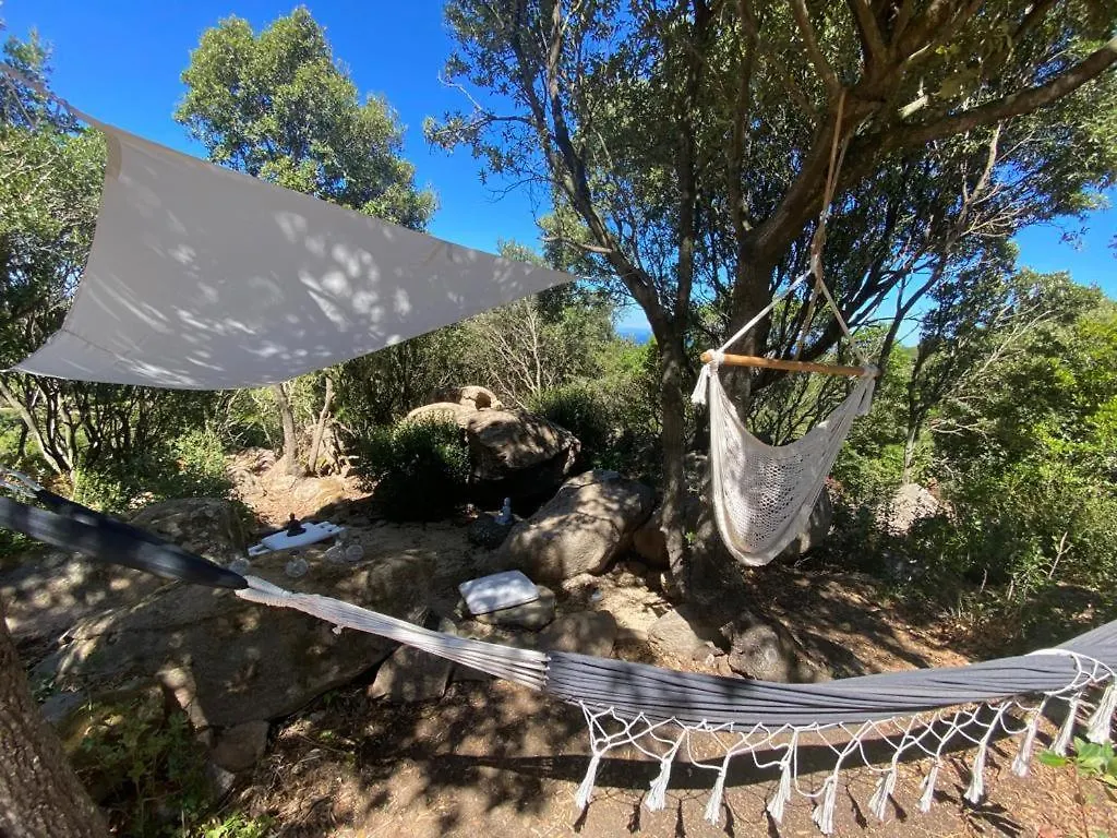 Tatil Evi Casa Albini Guest House