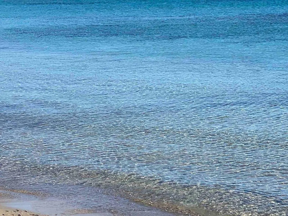 Casa Albini Guest House Tatil Evi Aglientu